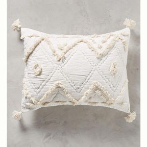 Anthropologie  Standard Aldalora  Single Sham